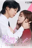 The Revenge Love (2025)